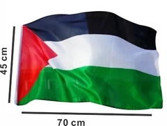 Bandera Palestina chica