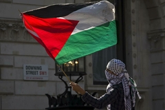 Bandera Palestina chica en internet