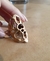 Anillo skeleton - comprar online