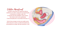 Banner da categoria COLETOR MENSTRUAL