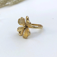 Anillo Brescia Gold en internet