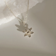 Flor natal de Diciembre - Narciso Estrella - comprar online