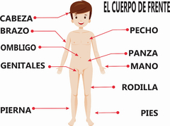 APRENDO MI CUERPO - comprar online