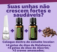 BLEND UNHAS PERFEITAS! Rosemary + Melaleuca 15ml doTERRA® 100% Natural - Enxuga Linduxa