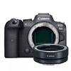 Câmera Mirrorless Canon Eos R6 Corpo Com Adaptador Ef-eos R