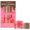 Laneige Berries n' Choco Kisses Set