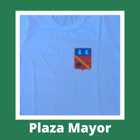 remera deportiva Plaza