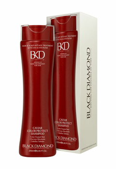 BKD shampoo x 250 TEÑIDOS