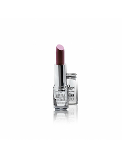 AREX lapiz labial traslucido c/color x3.5g