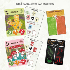 FUNGONIA - Juego de Billetera ¡NOVEDAD! - comprar online