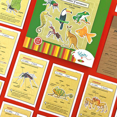 ¡Dame una Pista! Vertebrados e Invertebrados - Mini Enciclopedia Visual - comprar online