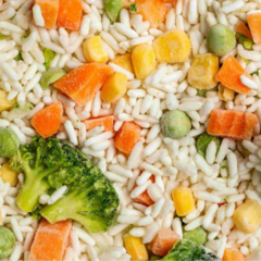 WOK DE ARROZ CON VEGETALES IQF (1KG) - comprar online