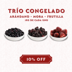 TRIO 4 | ARÁNDANO - MORA - FRUTILLA