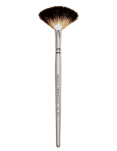 PROFESSIONAL FAN BRUSH (Art 1731)