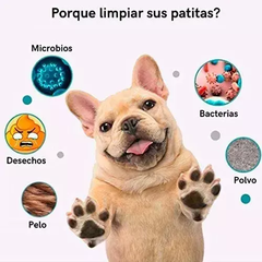 copa para lavar patas de mascotas en internet