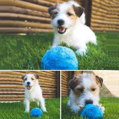 Pelota robot para mascotas