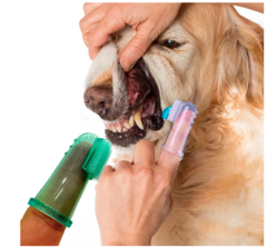 cepillo de dientes para mascotas - comprar online