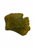 Coleção Trancoso - Bandeja Concha Pequena em Acrílico Verde Mar Trancoso