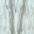 Detalhes do Papel de Parede Textura Prateado Detalhes em Brilho - Coleção Verona 2 982004 | 10 metros | Cola Grátis - Ciça Braga