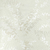 Papel de Parede Folhas Bege e Gelo leve Brilho Perolado Vinílico Lavável - Coleção Enchantment - 10 metros | 121301 - Ciça Braga
