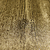 Detalhe do Papel de Parede Efeito Madeira Ouro Velho Brilho Vinílico Lavável - Coleção Enchantment - 10 metros | 981106 - Ciça Braga