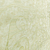 Textura do Papel de Parede Arabesco Verde - 10 metros | 56105 - Ciça Braga