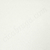 Papel de Parede Liso Off-White (Leve brilho) -  Tropical Texture - Importado Lavável | TRT-710506 - Ciça Braga