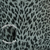 Papel de Parede Animal Print Cinza Escuro Detalhes em Brilho Glitter - Coleção Adi Tare 2 200903 | 10 metros | Cola Grátis - Ciça Braga