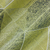 Mais detalhes do Papel de Parede Geométrico Tons de Verde e Bege Brilho - Coleção Avalon 1 128 | 10 metros | Cola Grátis - Ciça Braga