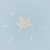 Detalhes do Papel de Parede Estrelas Azul - Coleção Fofura Baby 4040 | 10 metros | Cola Grátis - Ciça Braga