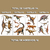 Cartela do Adesivo de Parede Dinossauros para Decoração de Quarto de Menino | REF: 1043 - Ciça Braga