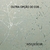 Imagem do Papel de Parede Galhos Cor Gelo com Brilho Metálico - Coleção White Swan Kantai 100901 | 10 metros | Cola Grátis