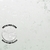 Papel de Parede Cimento Queimado Cor Gelo com Brilho Metálico - Coleção White Swan Kantai 101601 | 10 metros | Cola Grátis