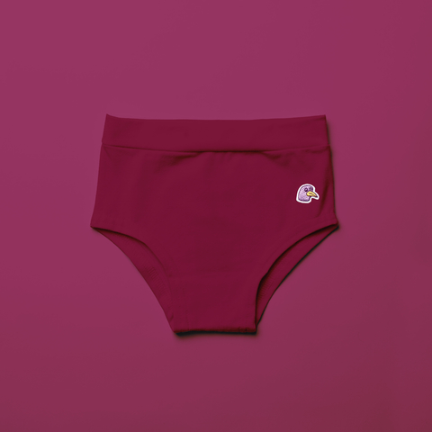 Champion sweater clearance womens red underwear