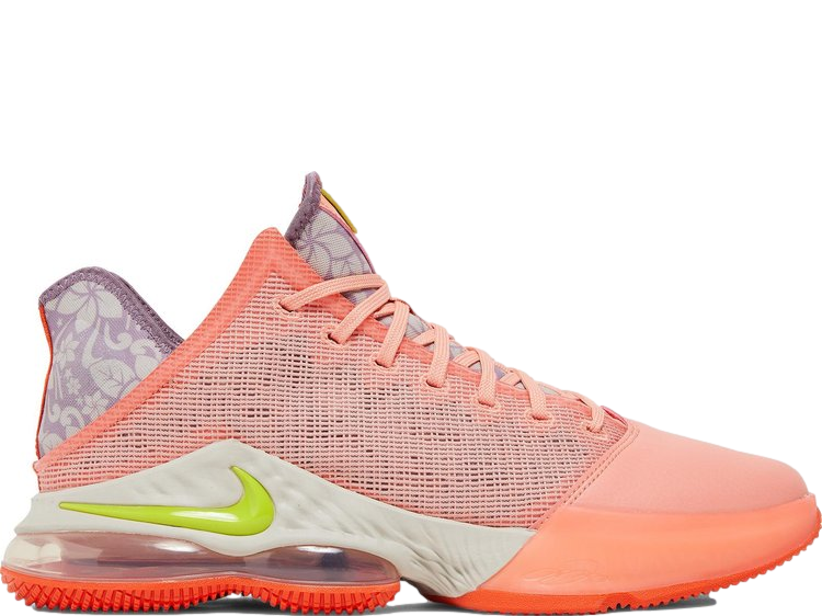 Lebron 17 2019 2025