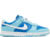 Nike Dunk Low Retro QS 'Argon' DM0121 400