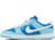 Nike Dunk Low Retro QS 'Argon' DM0121 400