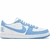 Tênis Nike Terminator Low 'University Blue' FQ8748-412