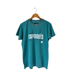 Camiseta Fluente em Capixabes - comprar online