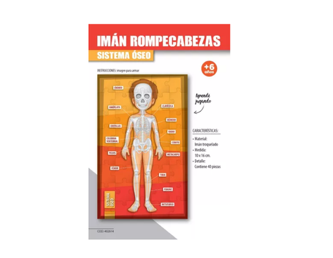 Iman puzzle sistema oseo 40 piezas - Elementos creativos