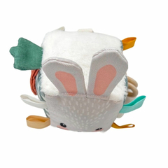 Cubo Sensorial BUNNY (2 colores)