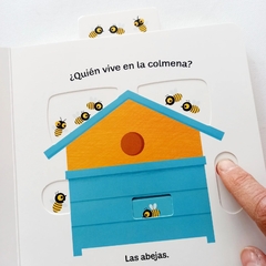 Libro Pequeños Curiosos - Animales Pequeños - Coco House Kids