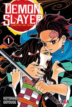 DEMON SLAYER (KIMETSU NO YAIBA) #01