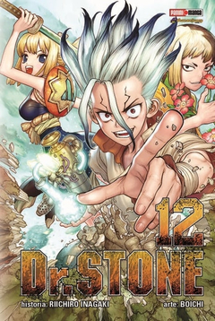 DR STONE #12