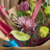 Tim Burton P - Buquê de flores - comprar online