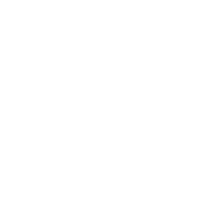 Car Plastic Brasil