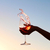Vinho Português Portada Lote DFJ Rosé 750ml - WebBar | Bebidas | Utensílios para Barman