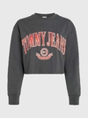Cropped Tommy jeans COLLEGE RELAXED - cinza