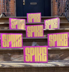 Livro "SPIKE" By Spike Lee na internet