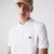 POLO LACOSTE PETIT PIQUET MINI CROCO - BRANCO - comprar online